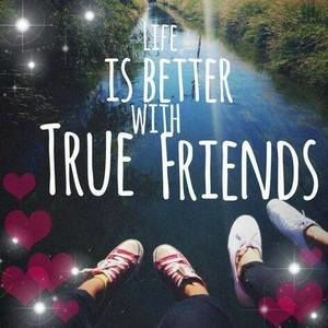 Meet your Posher, Poppetty